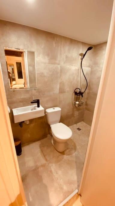 Studio Renove Avec Patio, Coeur Du Centre Ville Besançon Eksteriør bilde